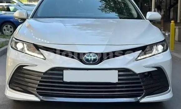 Buy Used Toyota Camry White Car in Santa Isabel Island in Isabel