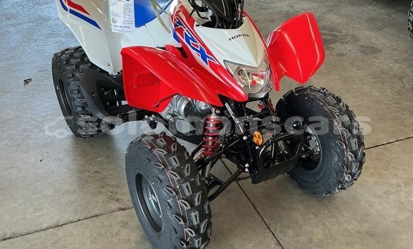 Buy New Honda TRX Other Bike in Buala in Isabel