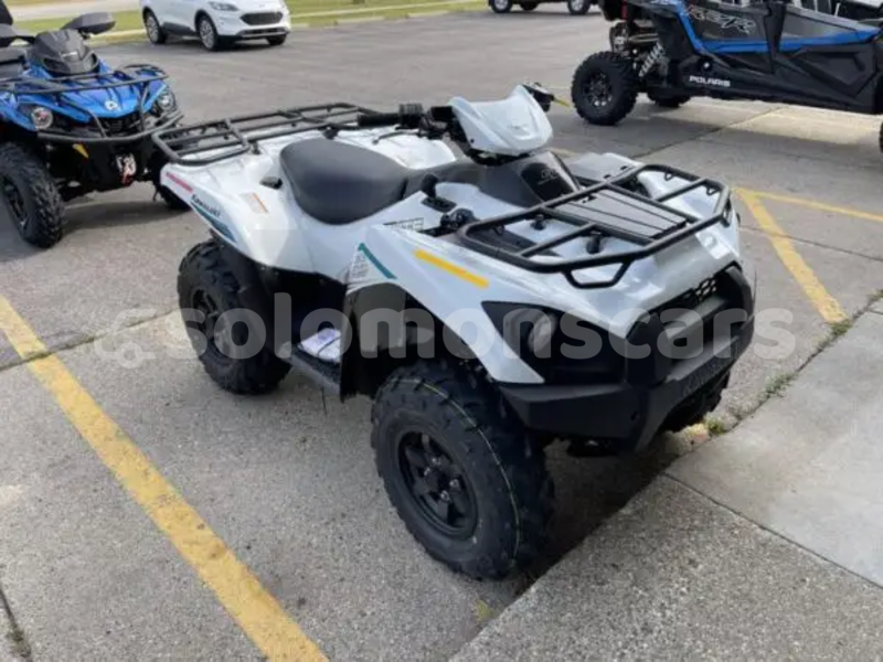 Big with watermark kawasaki brute force malaita dingo dingo 1317