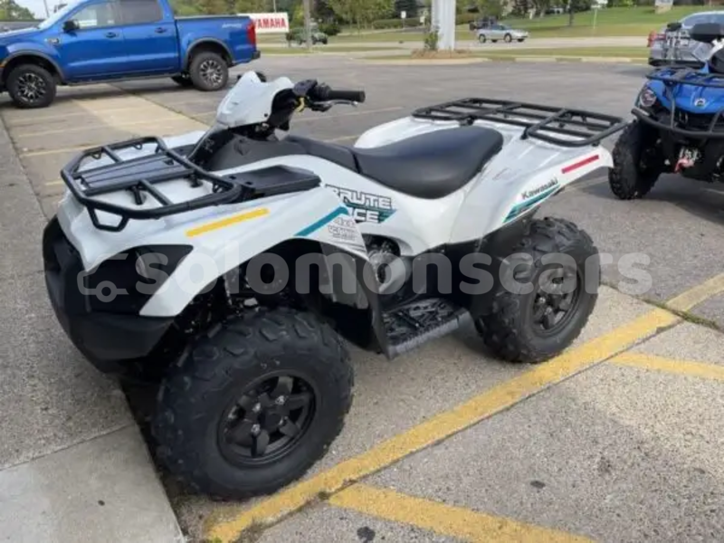 Big with watermark kawasaki brute force malaita dingo dingo 1317