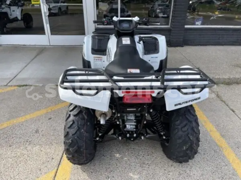Big with watermark kawasaki brute force malaita dingo dingo 1317