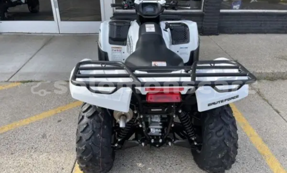 Buy New Kawasaki Brute Force White Bike in Dingo Dingo in Malaita Buy New Kawasaki Brute Force White Bike in Dingo Dingo in Malaita