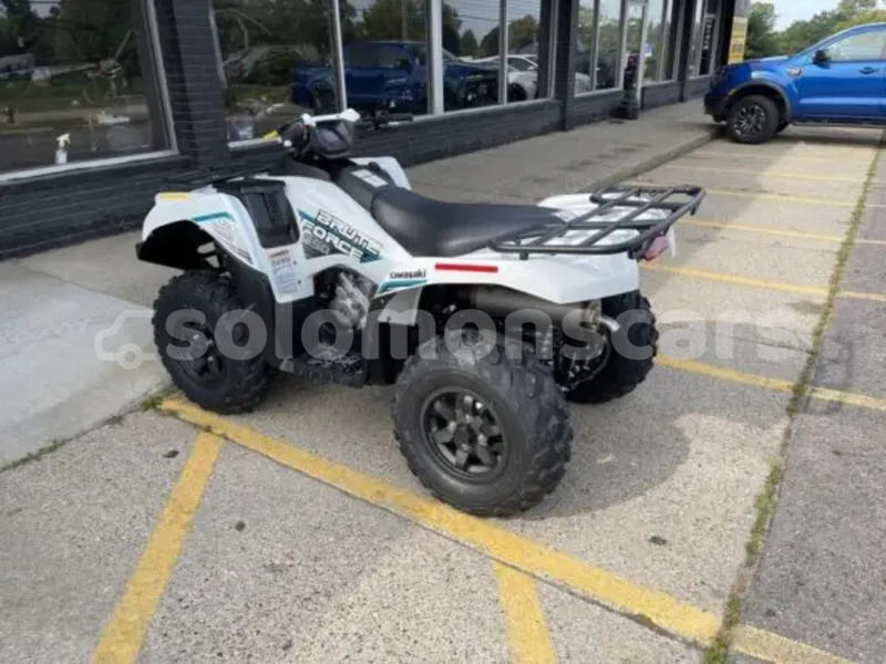 Big with watermark kawasaki brute force malaita dingo dingo 1317