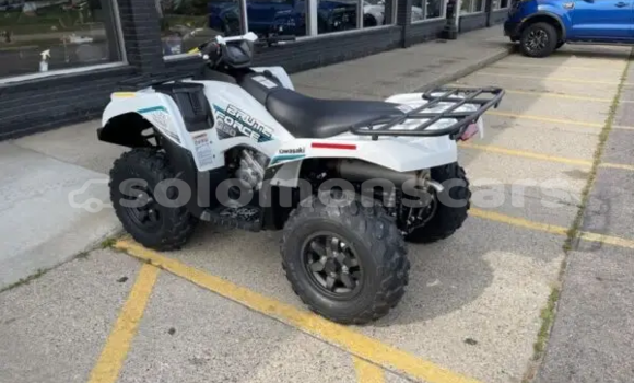Buy New Kawasaki Brute Force White Bike in Dingo Dingo in Malaita Buy New Kawasaki Brute Force White Bike in Dingo Dingo in Malaita