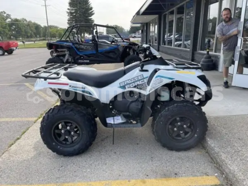 Big with watermark kawasaki brute force malaita dingo dingo 1317