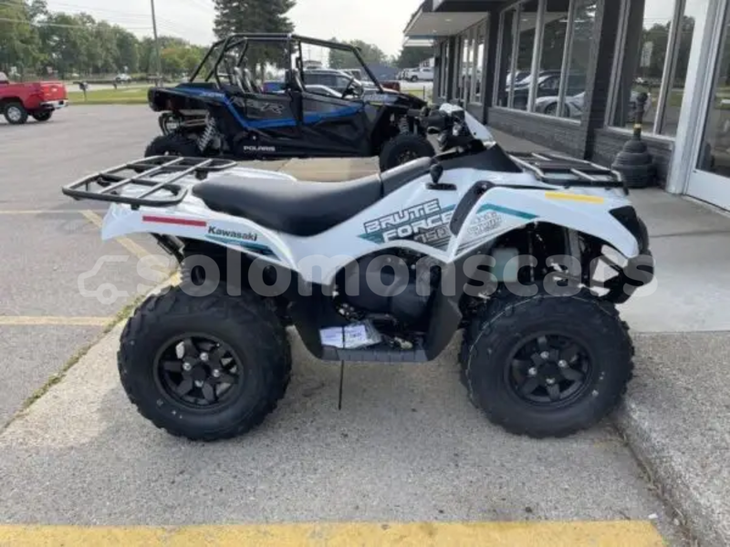 Big with watermark kawasaki brute force malaita dingo dingo 1317