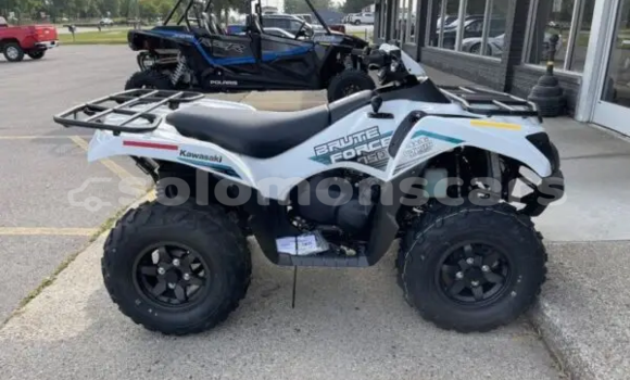 Buy New Kawasaki Brute Force White Bike in Dingo Dingo in Malaita Buy New Kawasaki Brute Force White Bike in Dingo Dingo in Malaita
