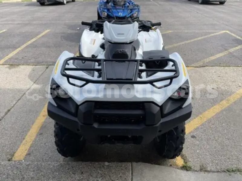 Big with watermark kawasaki brute force malaita dingo dingo 1317