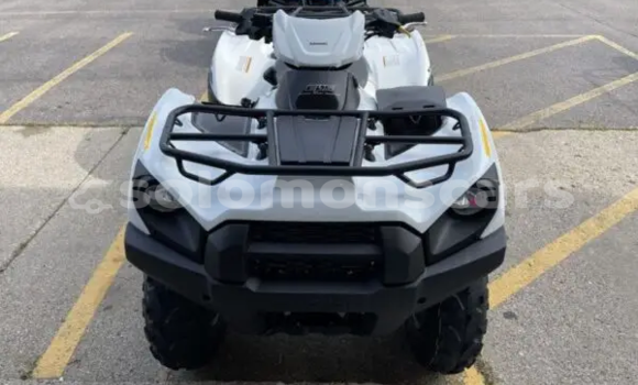 Buy New Kawasaki Brute Force White Bike in Dingo Dingo in Malaita Buy New Kawasaki Brute Force White Bike in Dingo Dingo in Malaita