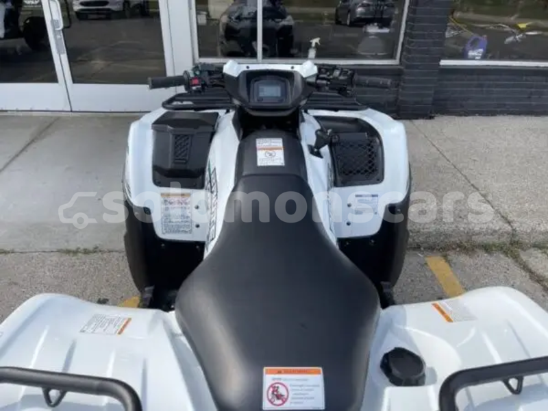 Big with watermark kawasaki brute force malaita dingo dingo 1317