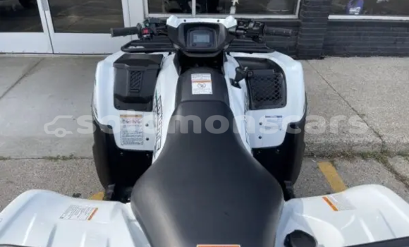 Buy New Kawasaki Brute Force White Bike in Dingo Dingo in Malaita Buy New Kawasaki Brute Force White Bike in Dingo Dingo in Malaita