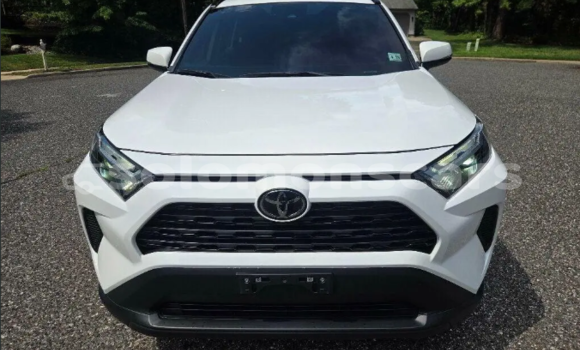 Buy Used Toyota RAV4 White Car in Dingo Dingo in Malaita