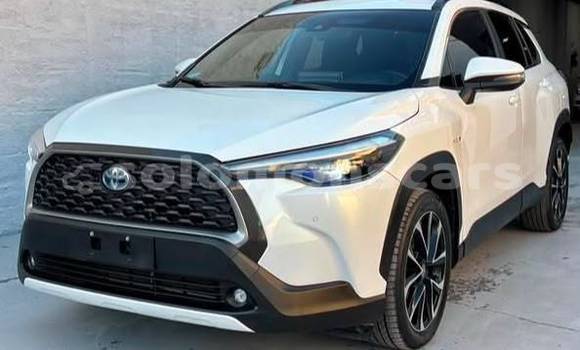 Buy Used Toyota Corolla Cross White Car in Santa Isabel Island in Isabel