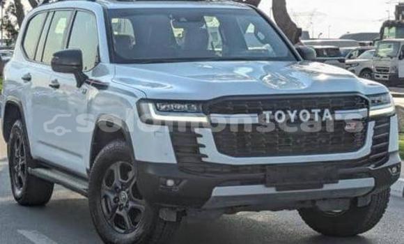 Buy Used Toyota Land Cruiser White Car in Santa Isabel Island in Isabel