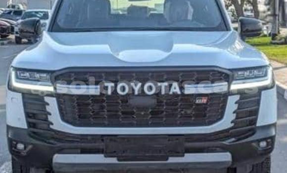 Buy Used Toyota Land Cruiser White Car in Santa Isabel Island in Isabel Buy Used Toyota Land Cruiser White Car in Santa Isabel Island in Isabel