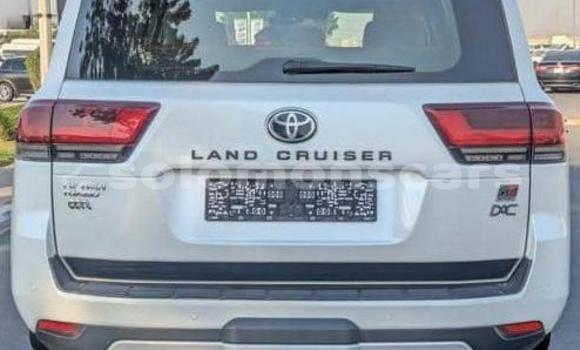 Buy Used Toyota Land Cruiser White Car in Santa Isabel Island in Isabel Buy Used Toyota Land Cruiser White Car in Santa Isabel Island in Isabel