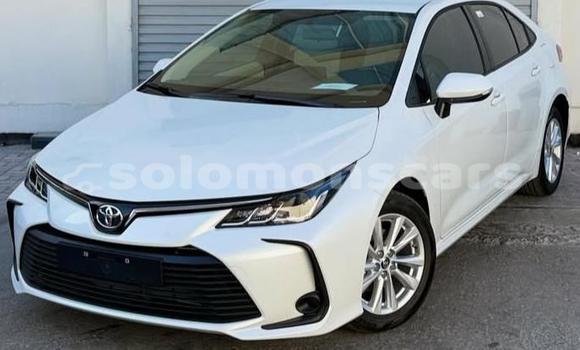Buy Used Toyota Corolla White Car in Santa Isabel Island in Isabel