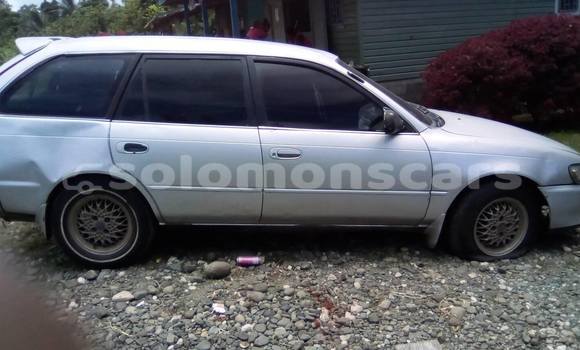 Buy Used Toyota Caldina Other Car in Nendo in Temotu Buy Used Toyota Caldina Other Car in Nendo in Temotu