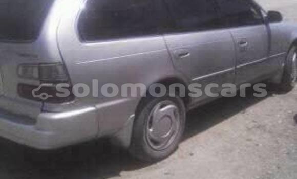 Buy Used Toyota Corolla Other Car in Buala in Isabel