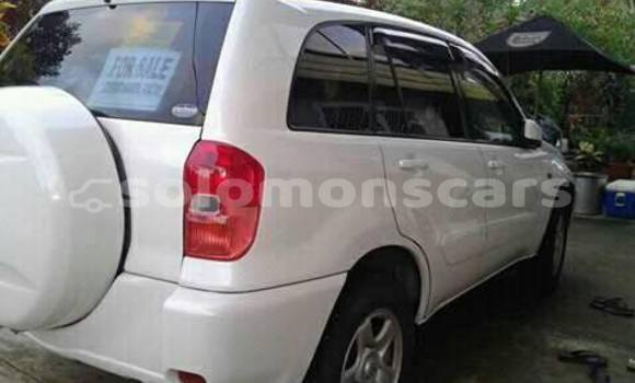 Buy Used Toyota RAV4 Other Car in Tulagi in Central Buy Used Toyota RAV4 Other Car in Tulagi in Central